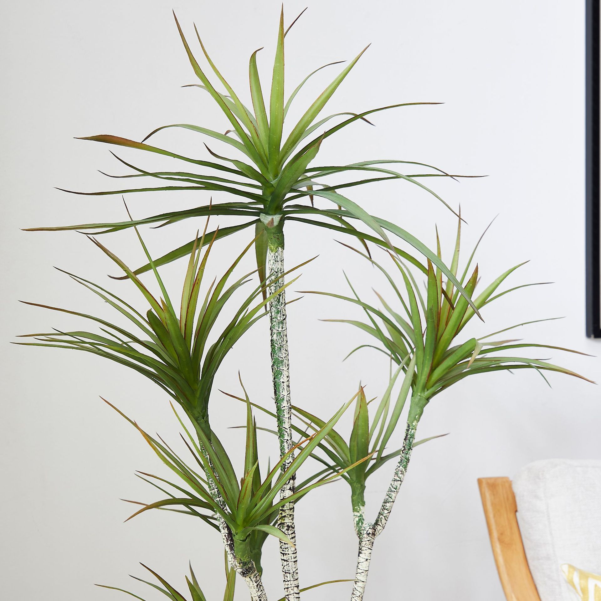 Artificial Plastic Potted ​Pla - Dracaena Marginata 评论和价格